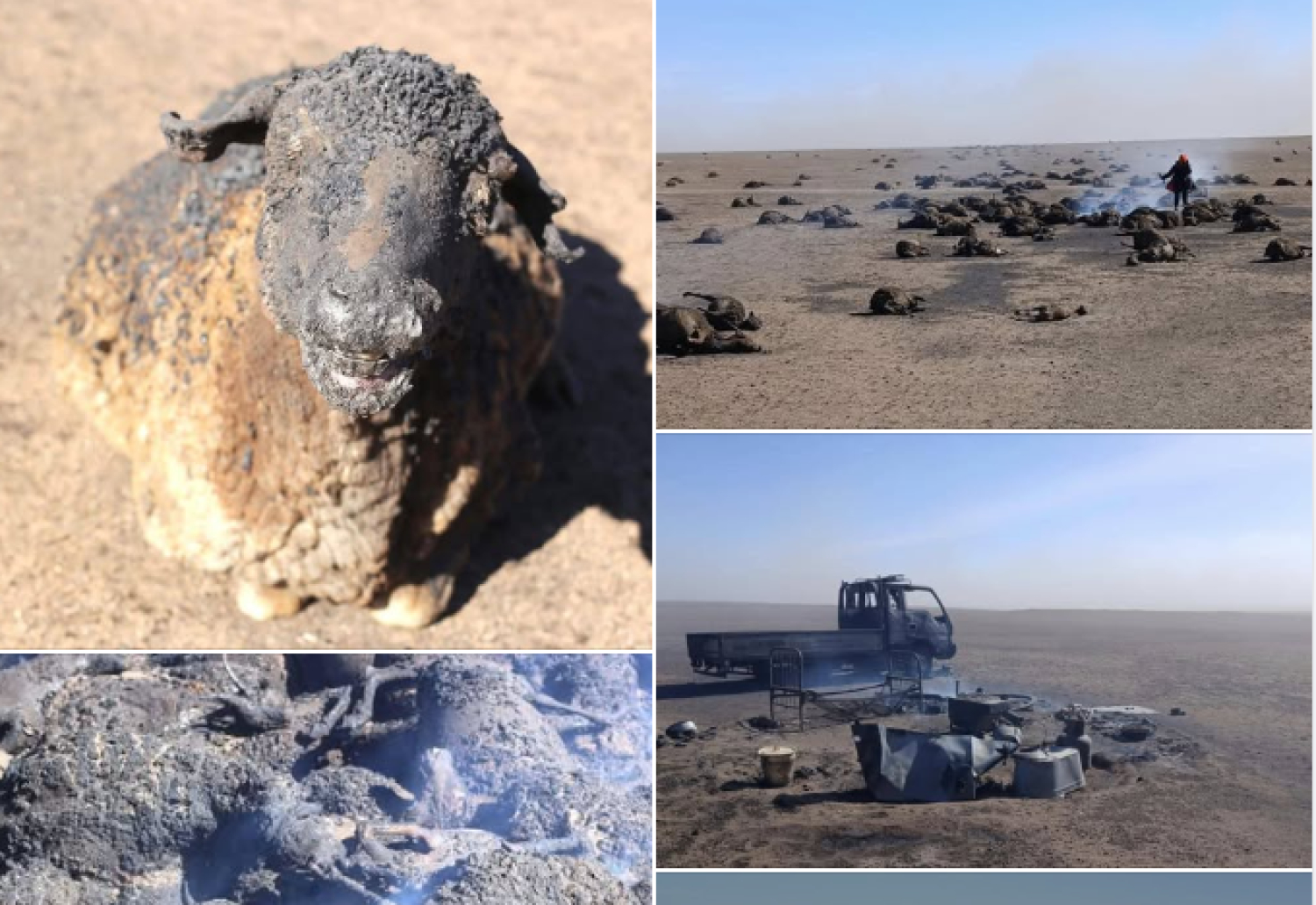 ГАЛ ТҮЙМРИЙН АЮУЛ ХИЙСЧ БИШ, ХЭЛЖ ИРДЭГ ШҮҮ!!! 