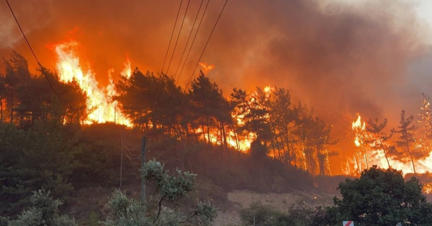 ШАШНЫ ЗАН ҮЙЛ ХИЙХДЭЭ АРЦ, ХҮЖ, ЗУЛ, АСААЖ ОРХИХГҮЙ БАЙХЫГ АНХААРУУЛЛАА