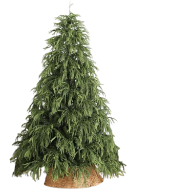 Шинэ жилийн гацуур /210см/