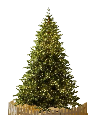 Шинэ жилийн гацуур /210см/